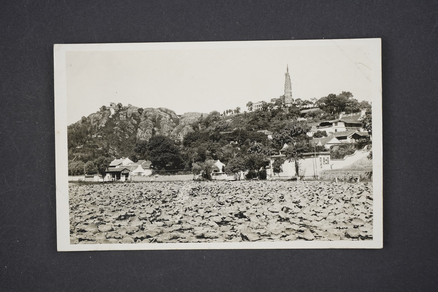 Pohlednice Post Card
