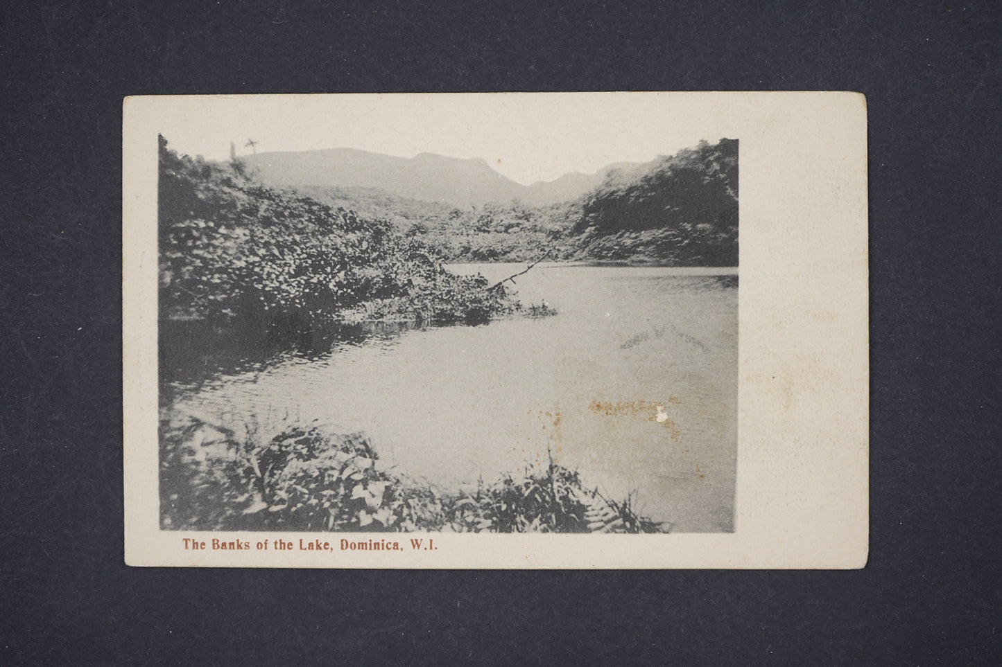 Pohlednice The Banks of the Lake Dominica (Amerika)