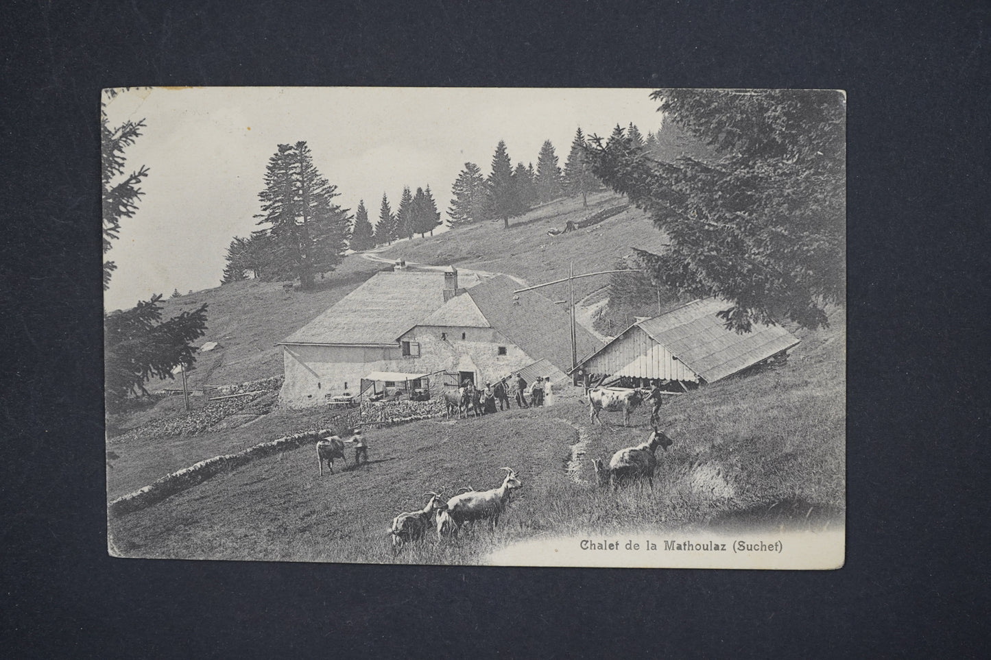 Pohlednice CHALET DE LA MATHOULAZ (x5705)