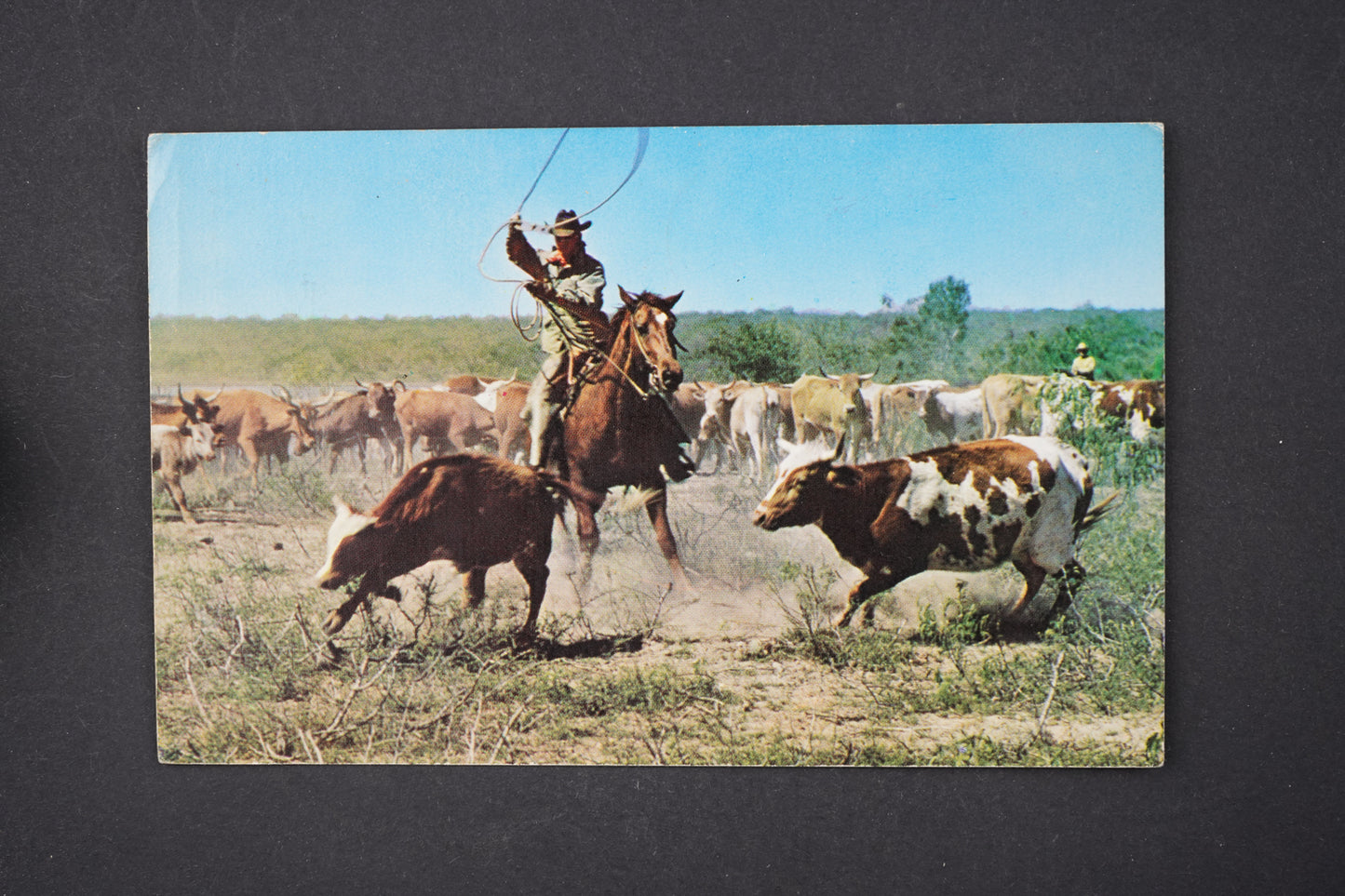 Pohlednice COWBOY KOVBOJ USA (x5784)
