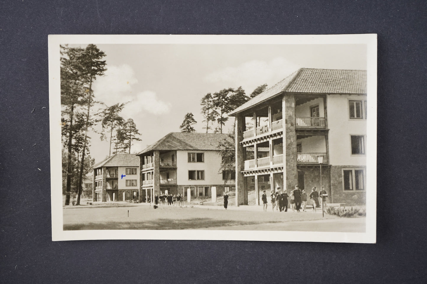 Pohlednice altenhof werbellinsee (x5967)