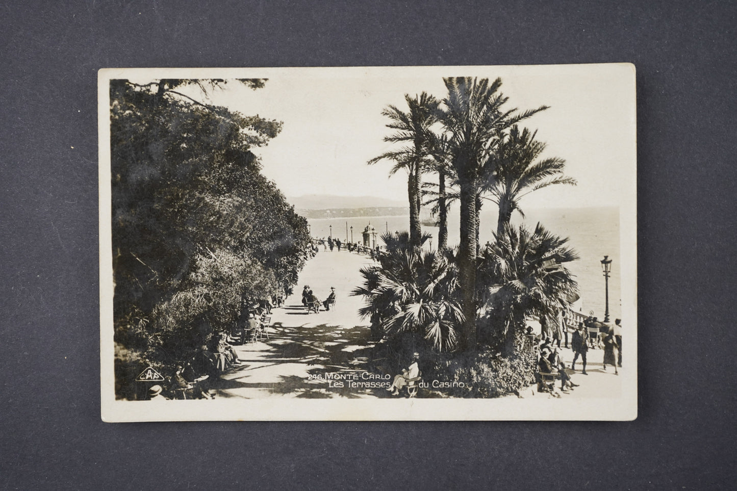 Pohlednice MONTE CARLO (x6145)