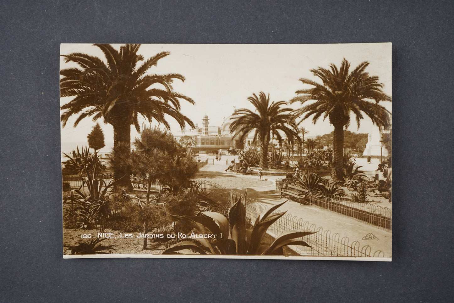 Pohlednice Nice . Les Jardins du Roi Albert (x6146)