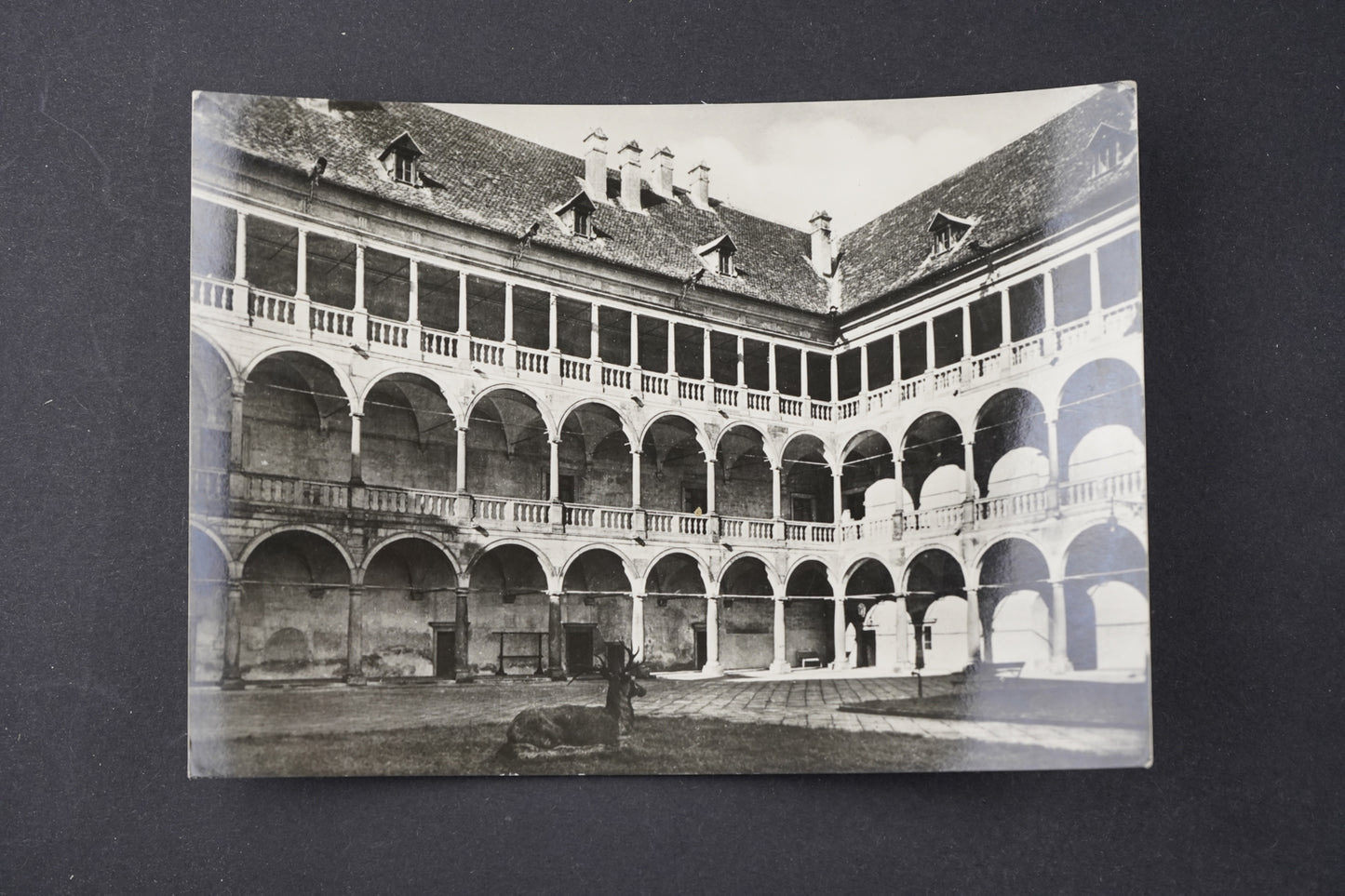 Pohlednice Státní zámek Opočno (x6352)