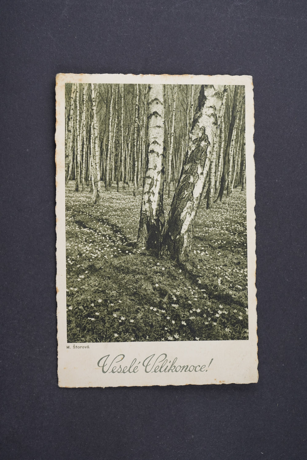 Pohlednice Veselé Velikonoce (x6404)
