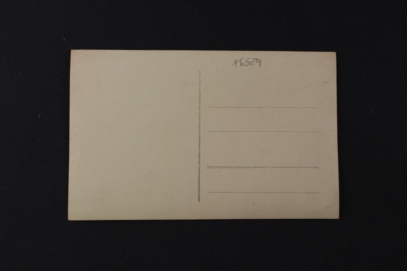 Postcard Forget-me-not (x6589)