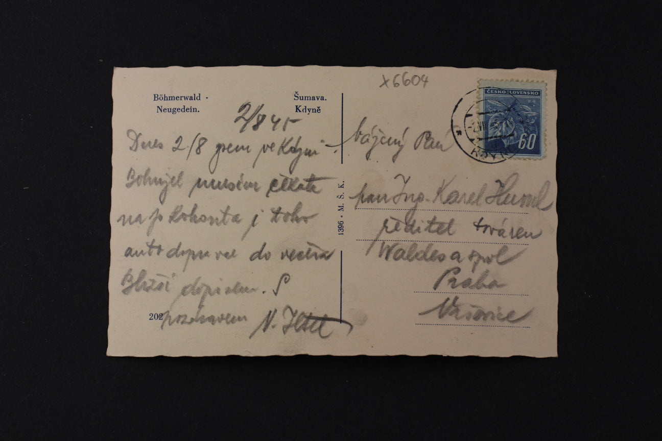 Postcard Šumava Kdyně (x6604)