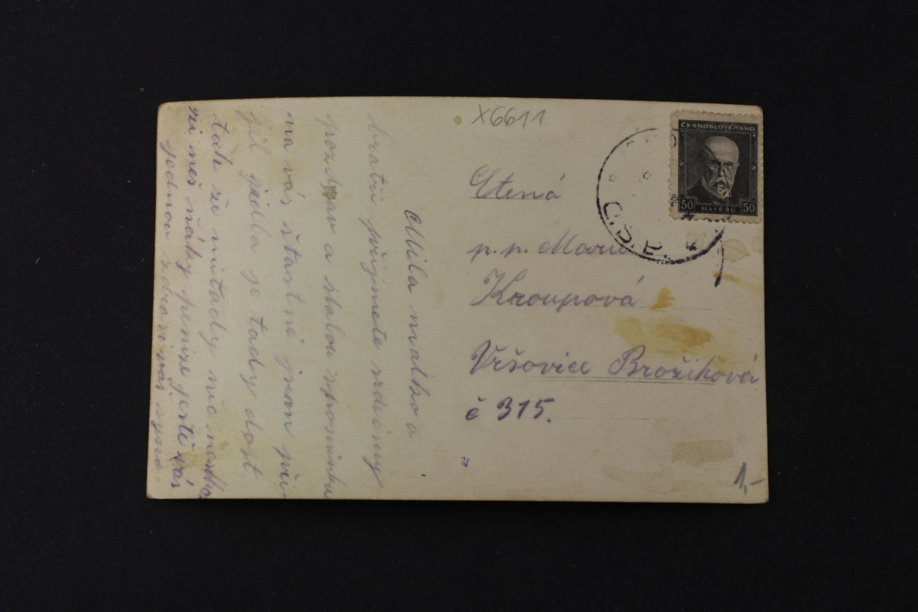 Postcard Medical Institute in Chocerady (x6611)