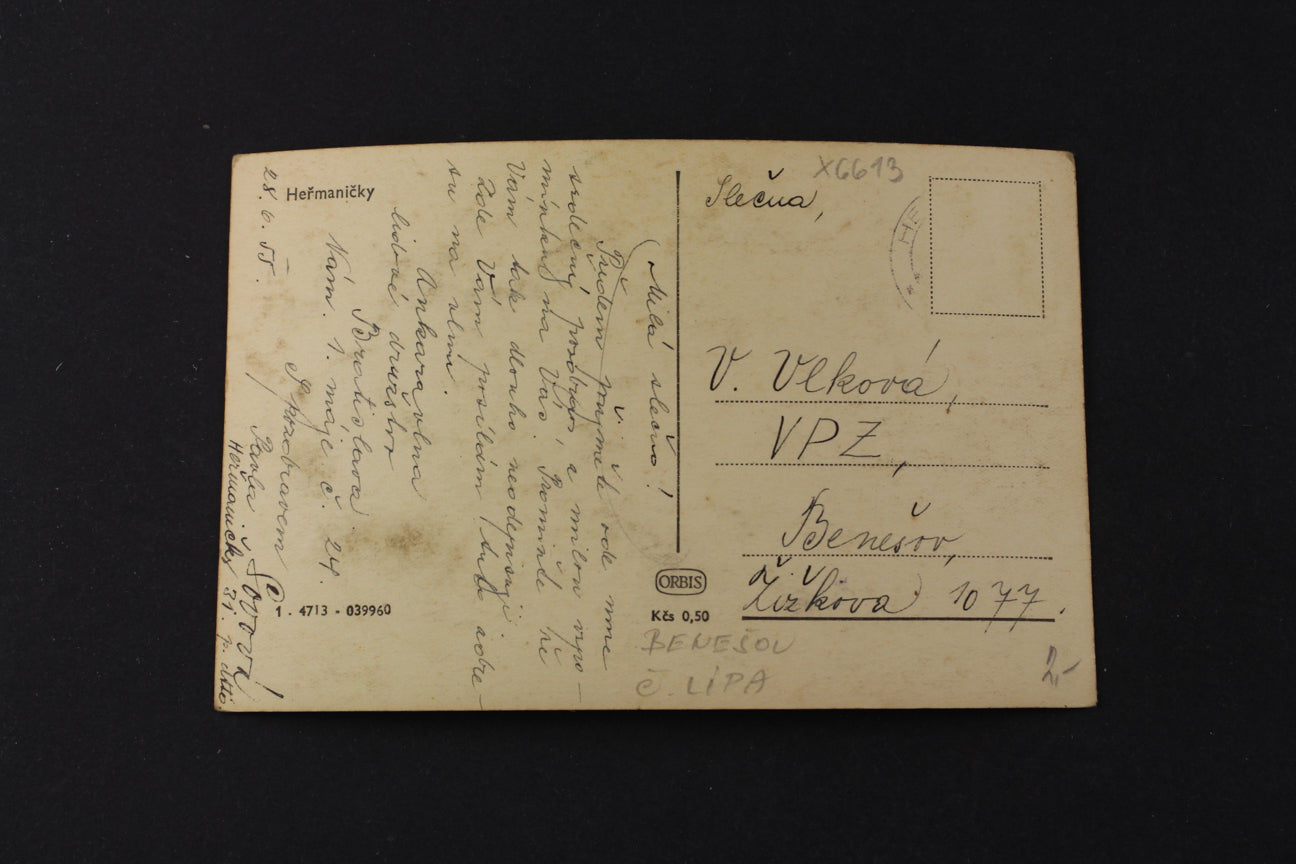 Chamomile Postcard (x6613)