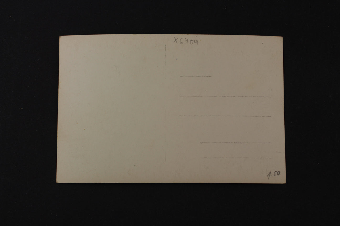 Postcard Rataje n. Sázavou (x6709)