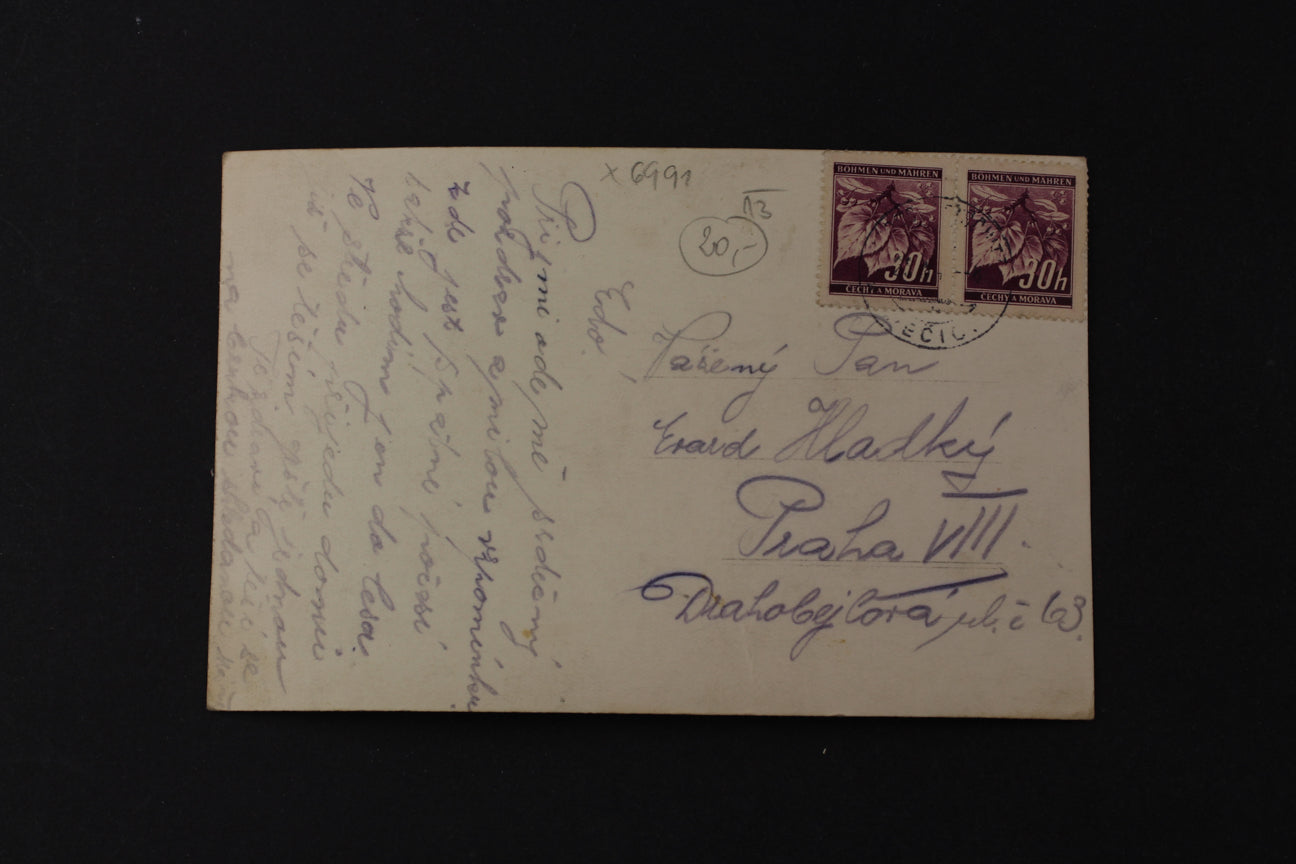 Postcard Eagle (x6991)