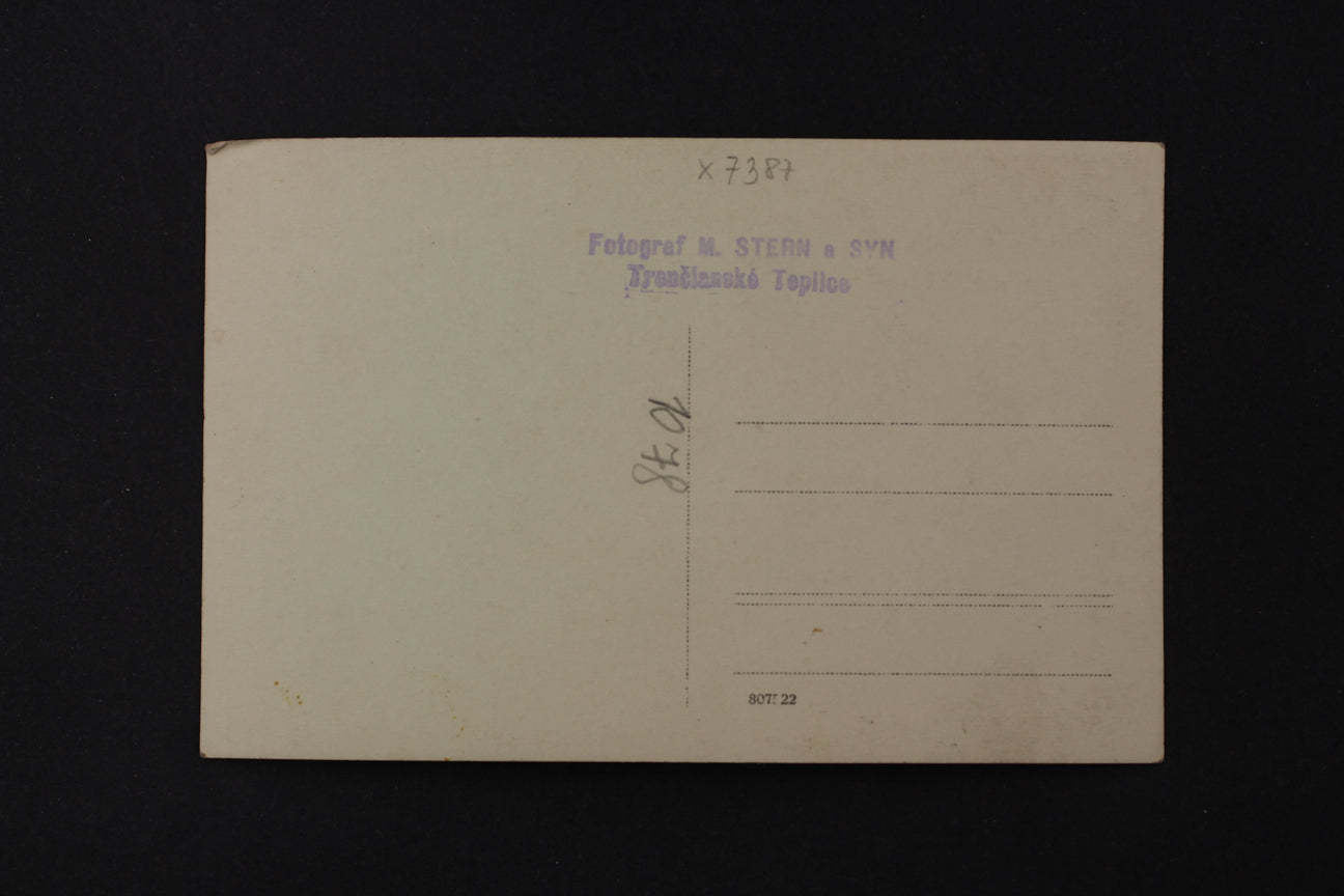 Pohlednice Fotograf M. Stern a Syn Trenčlanské Teplice (x7387)