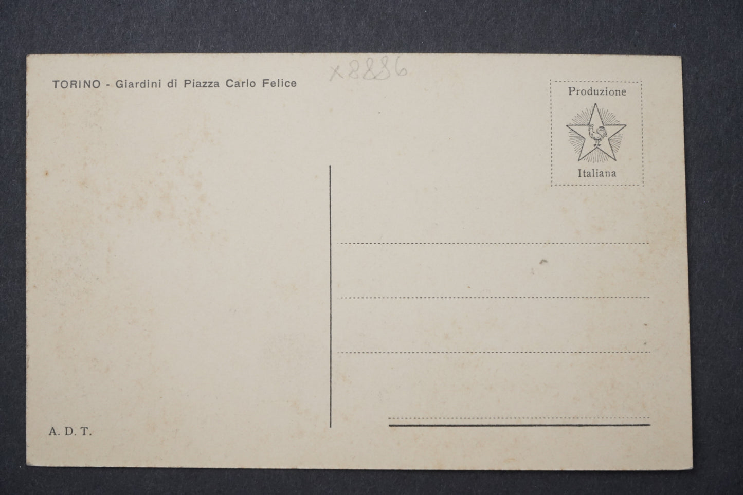 Postcard TORINO TURIN ITALY x8886