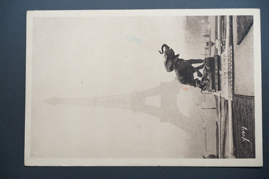 Pohlednice Paříž – Eiffelova věž (x9789)