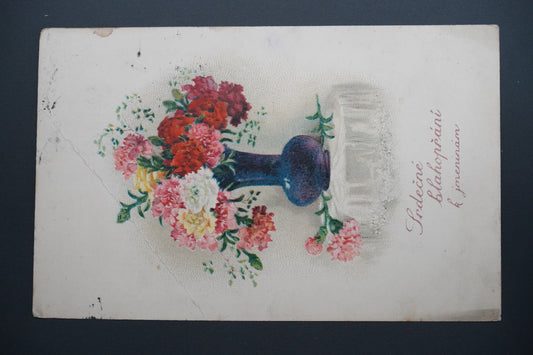 Pohlednice Srdečné blahopřání k jmeninám (x9911)