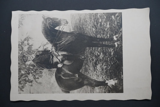 Pohlednice Masarykovy Lány – upomínkové dávky (x9914)