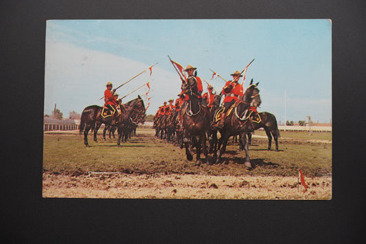 Pohlednice Royal Canadian Mounted Police – Musical Ride (x9932)