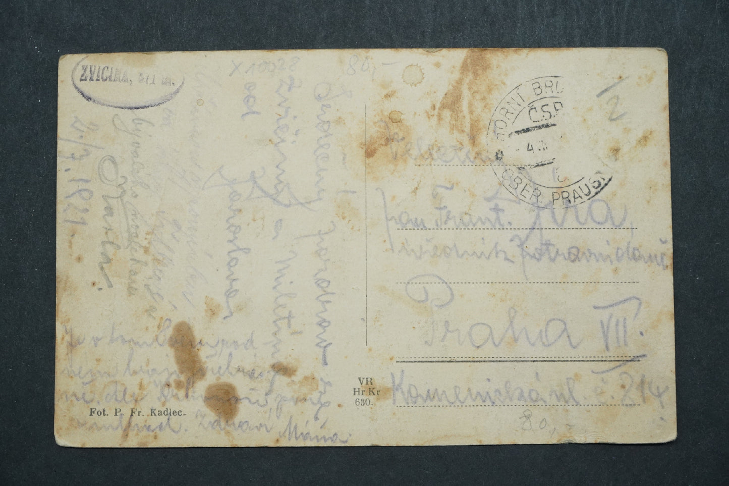 Pohlednice Zvičina u Dvora Králové n. Lab. x10028