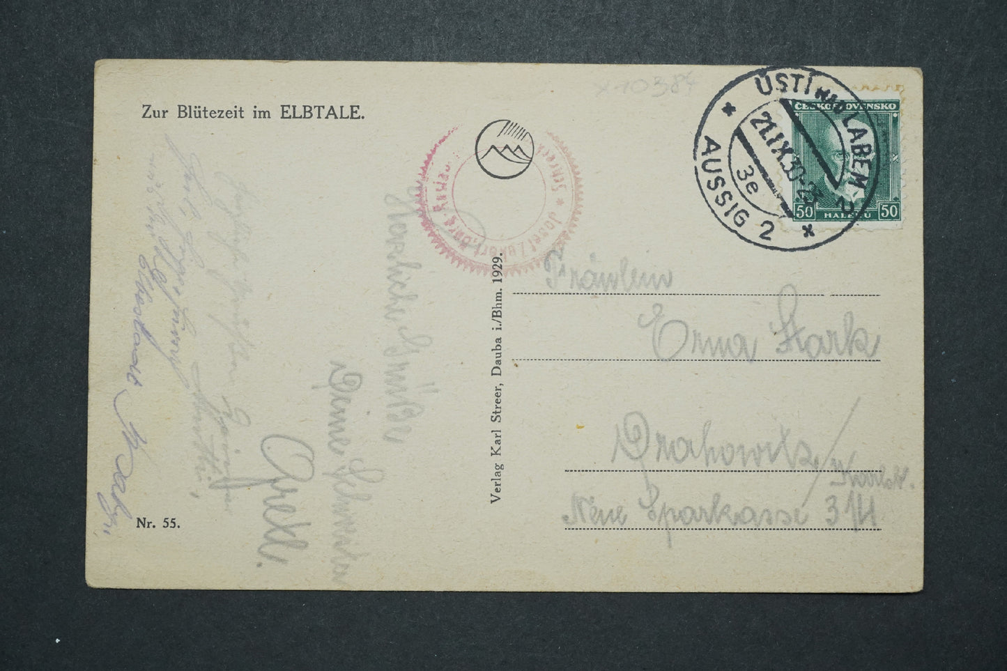 Pohlednice Burgruine Schreckensien Eugen Hein ELBTALE x10384