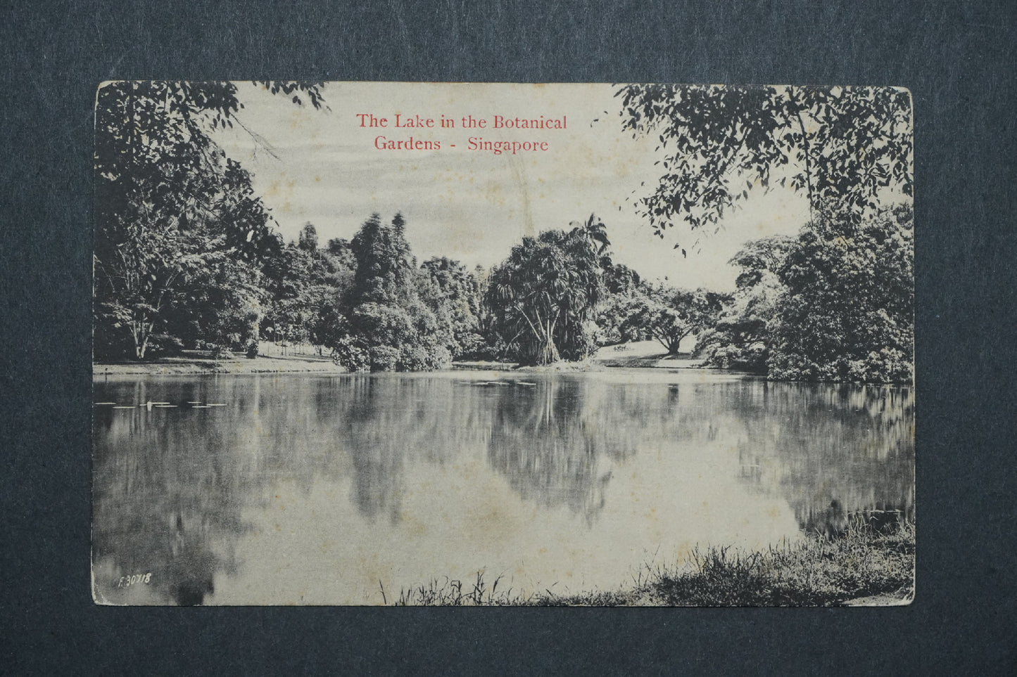Pohlednice The Lake in the Botanical -Gardens Singapore x10493