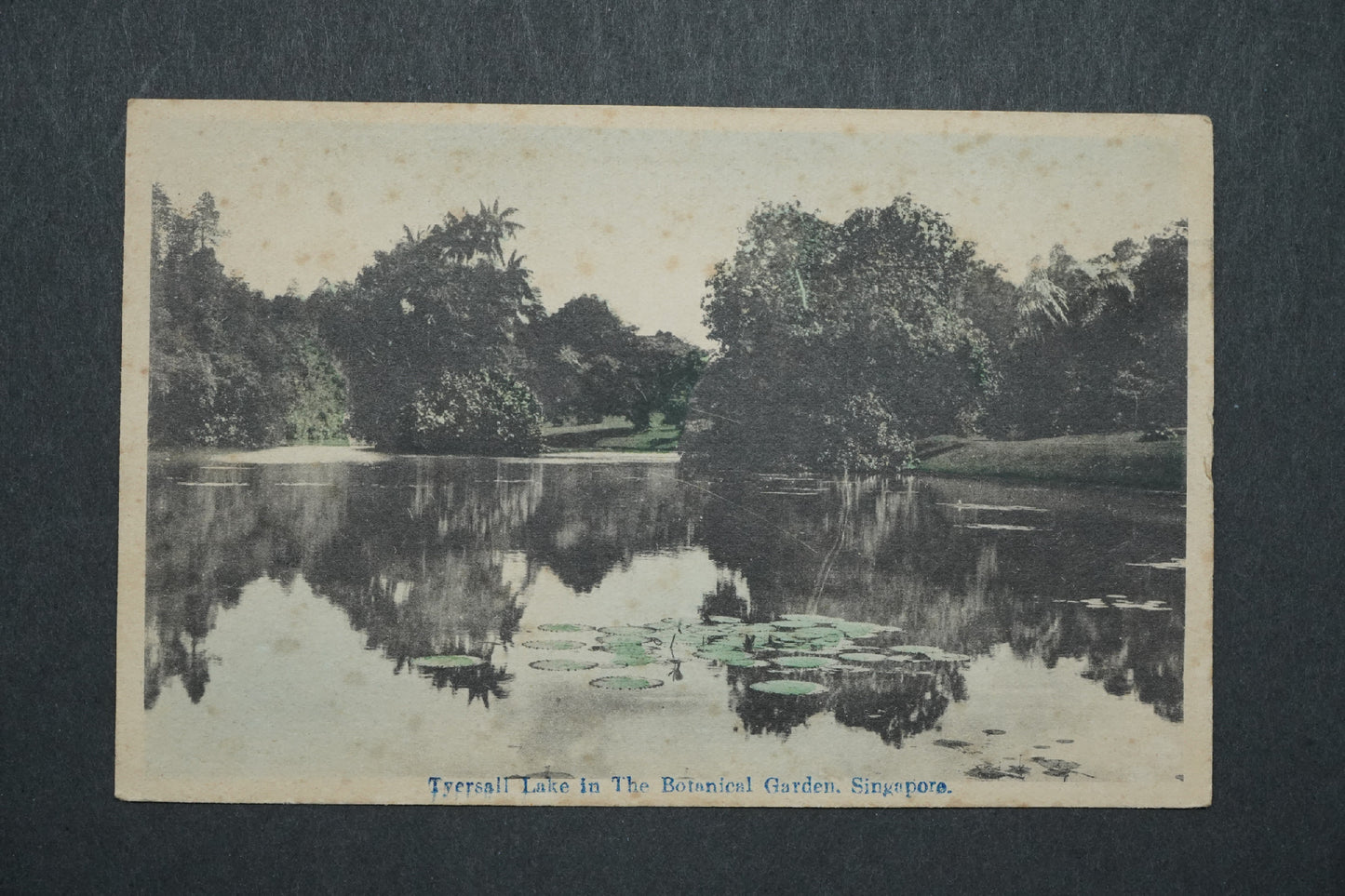 Pohlednice Tyersall Lake in The Botanical Garden, Singapore x10495
