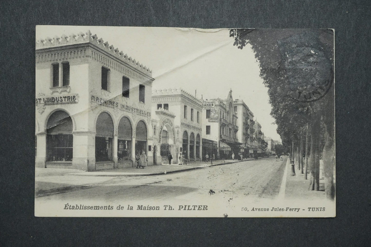 Pohlednice 50, Avenue Jules-Ferry - Tunis x10555
