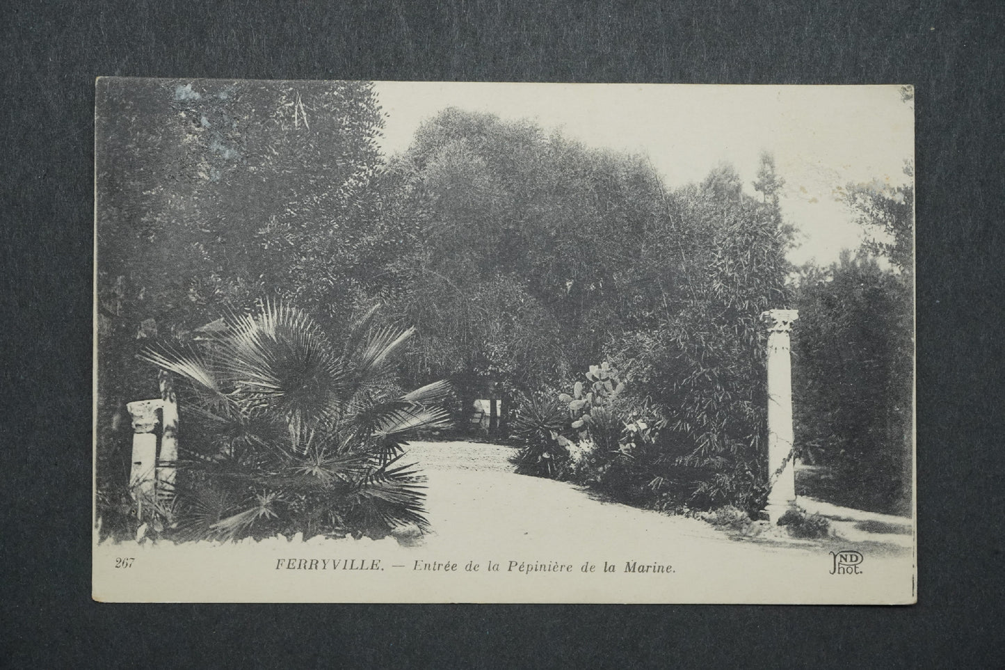 Pohlednice Ferryville - Entrée de la Pépiniére de la Marine x10562