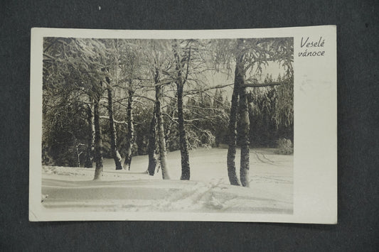 Pohlednice VESELÉ VÁNOCE (x13193)