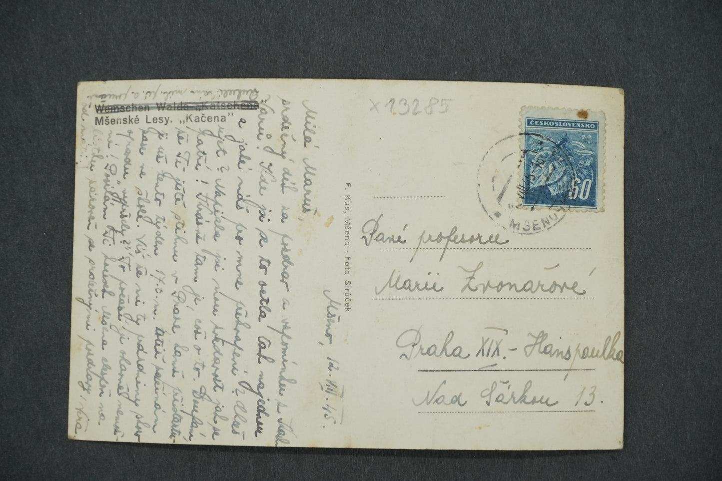 Postcard MŠENSKÉ LESY DUCK (x13285)