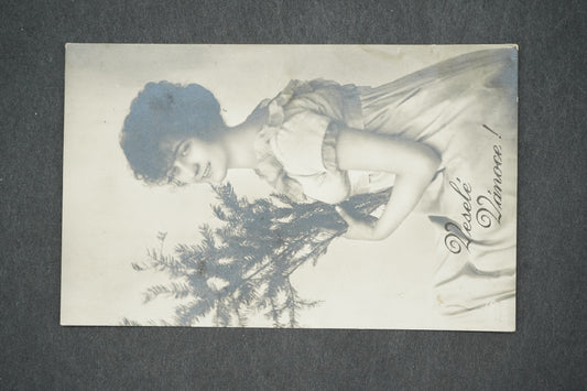 Pohlednice VESELÉ VÁNOCE (x13862)