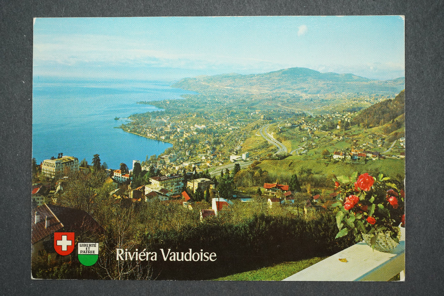 Pohlednice SCHWEIZ - SUISSE - SWITZERLAND (x13902)
