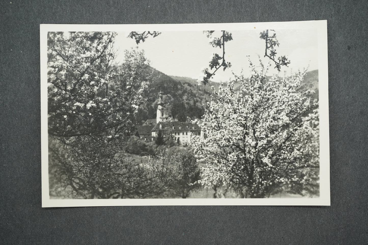 Pohlednice REIN BEI GRATWEIN STEIERMARK (x13950)