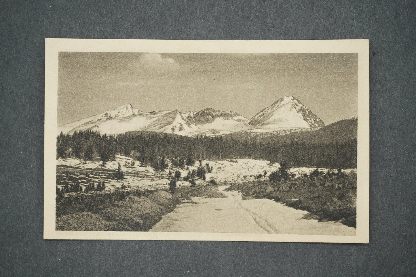 Pohlednice HŘEBEŇ VYSOKÝCH TATIER: KŘIVÁŇ (x14031)