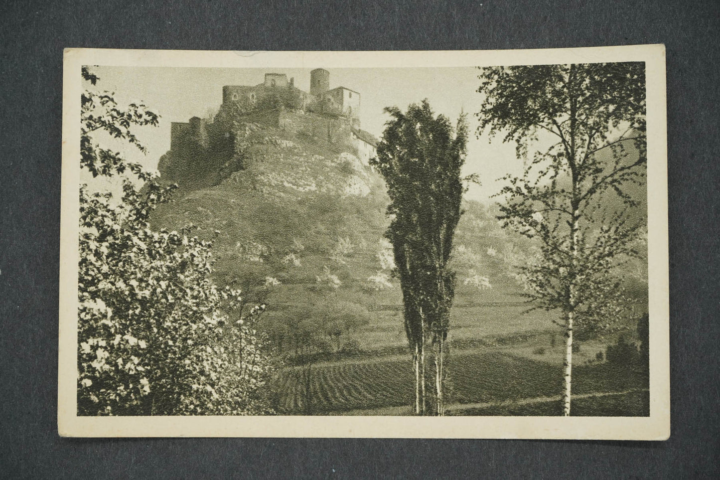 Pohlednice HRAD STŘEKOV (x14231)