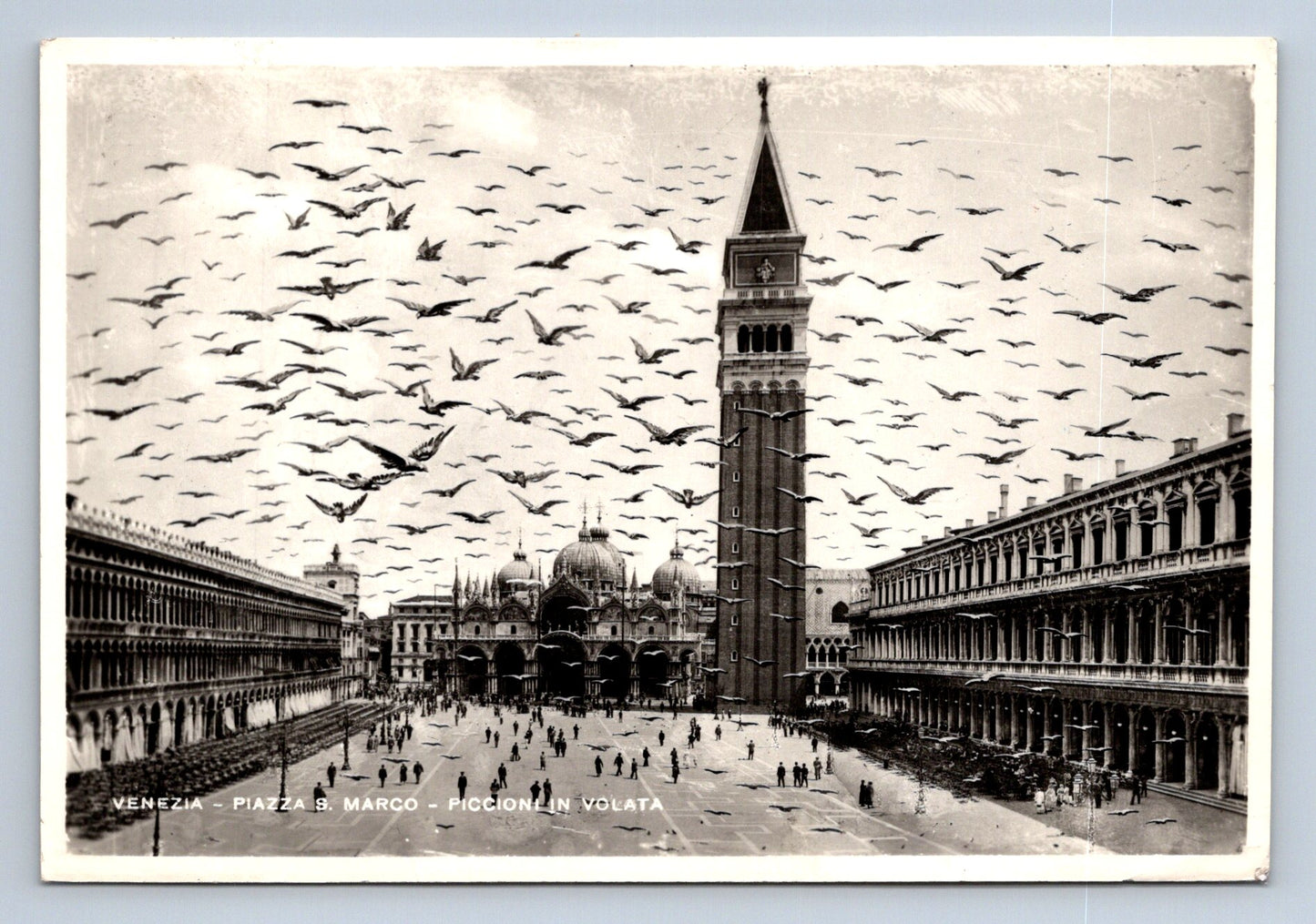 Pohlednice VENEZIA (x16239)