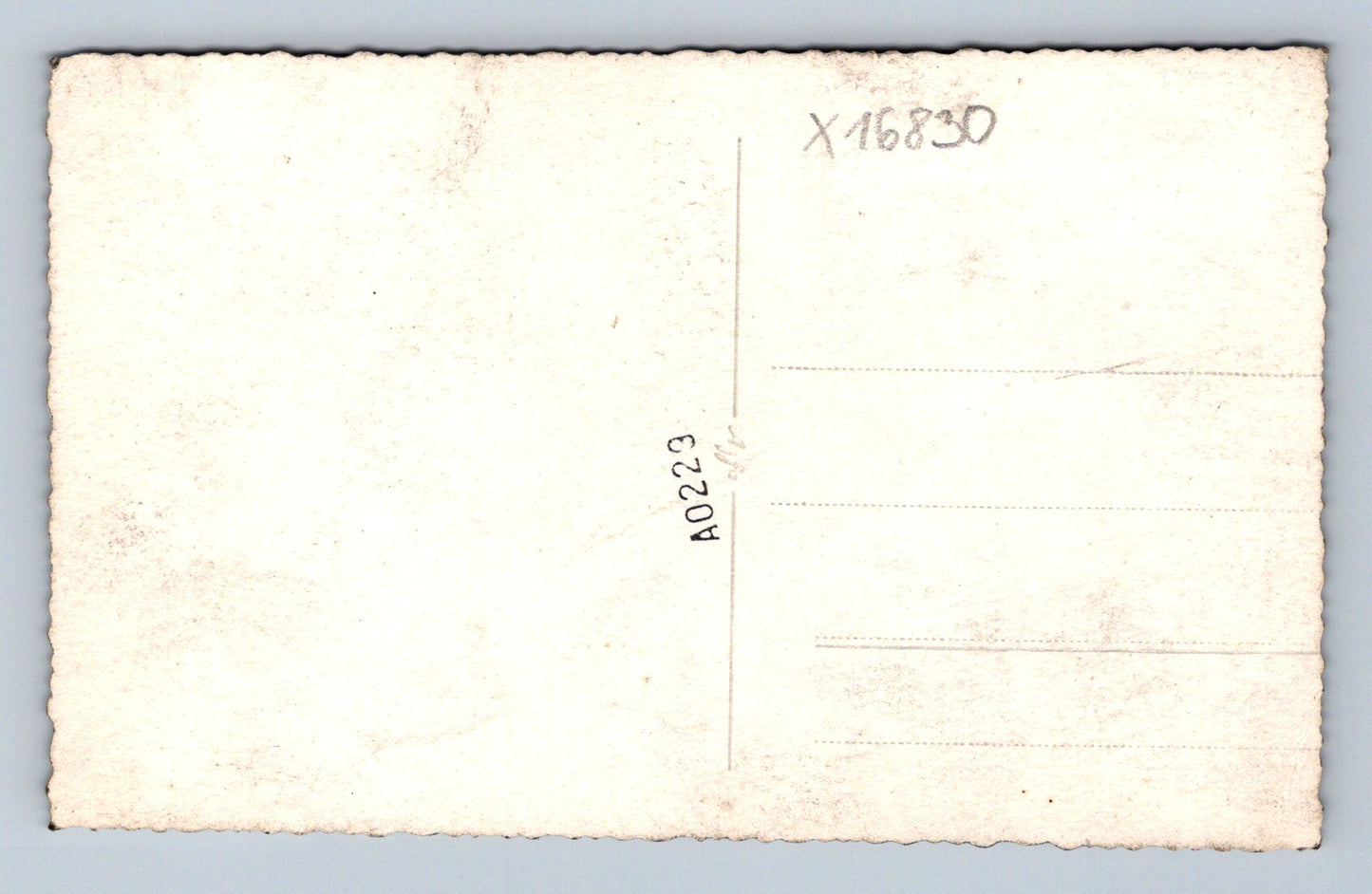 Pohlednice ČESKÝ DŮM (x16830)