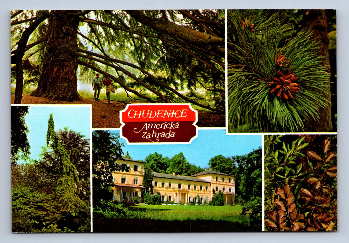 Pohlednice CHudenice - Americká zahrada (JN516)