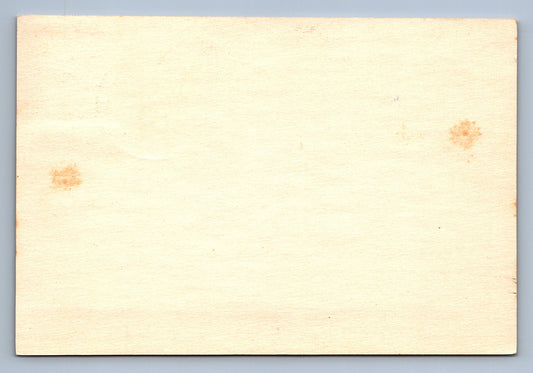 Pohlednice Berlín M.Hofmann fialové razítko zelená známka TŘETÍ ŘÍŠE W