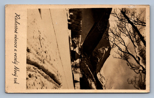 Pohlednice RADOSTNÉ VÁNOCE A VESELÝ NOVÝ ROK (x17556)