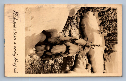 Pohlednice RADOSTNÉ VÁNOCE A VESELÝ NOVÝ ROK (x17572)