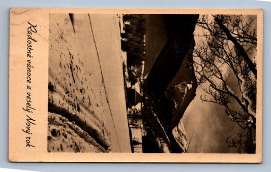 Pohlednice RADOSTNÉ VÁNOCE A VESELÝ NOVÝ ROK (x17573)