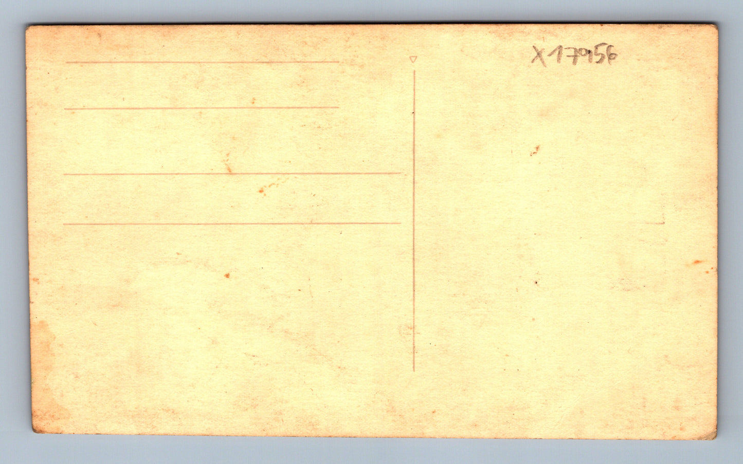 Pohlednice ŽENA V PROFILU (x17956)