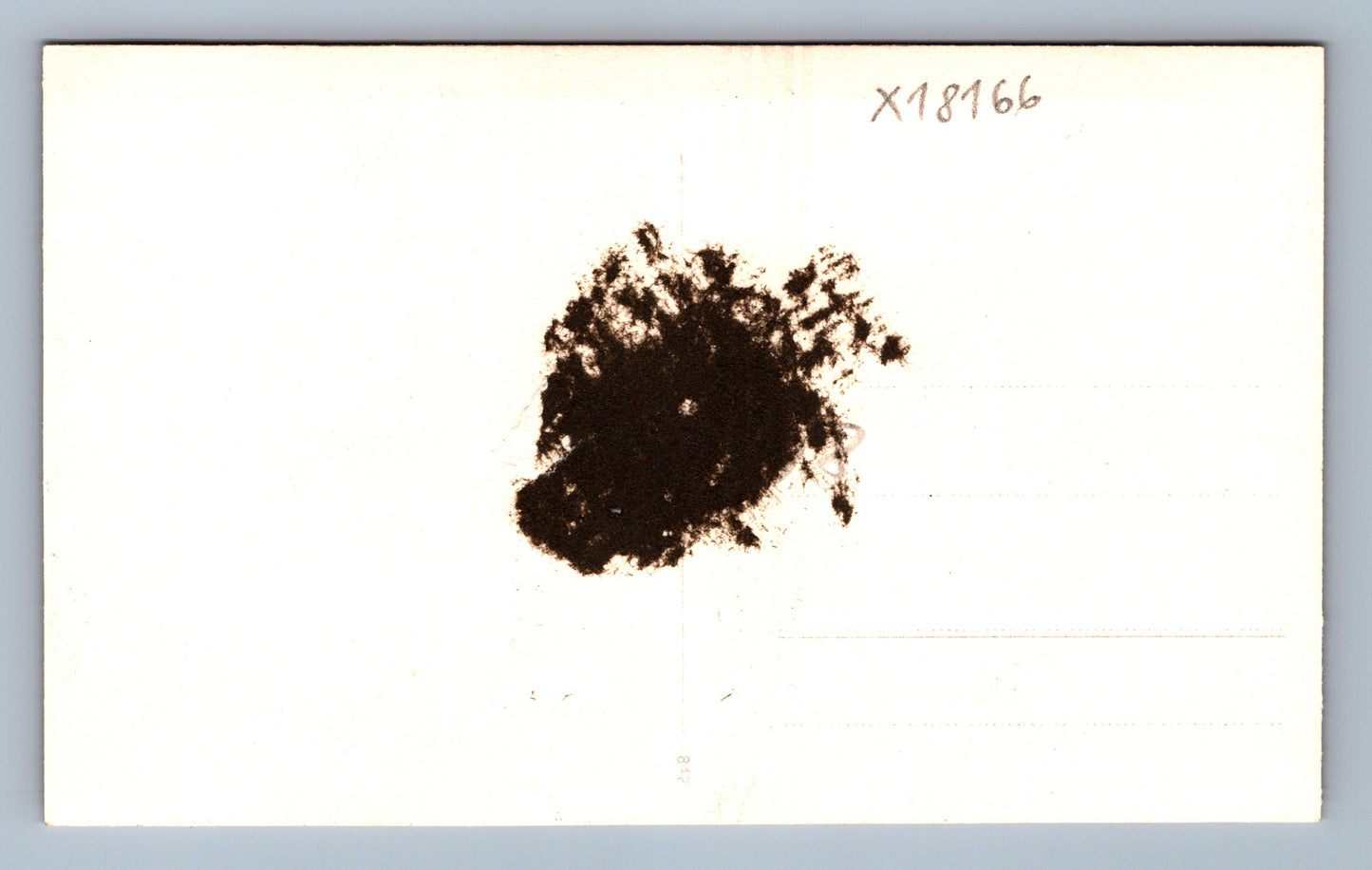 Pohlednice NÁVŠTĚVA (x18166)