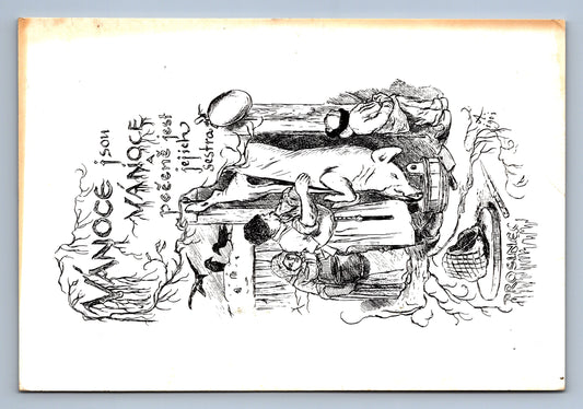 Pohlednice VÁNOCE JSOU VÁNOCE PEČENĚ JEST JEJICH SESTRA (x18346)