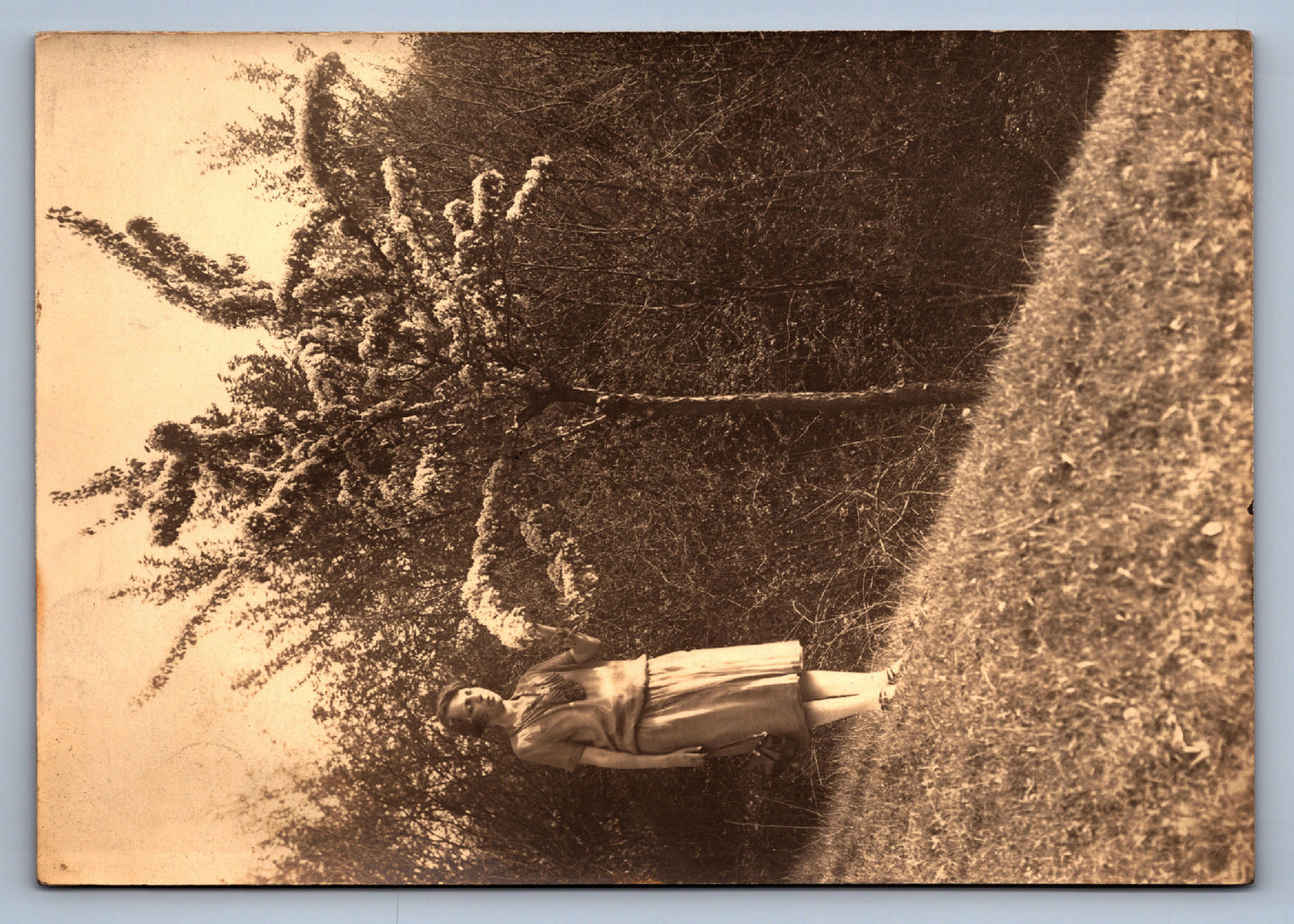 Fotografie NA PROCHÁZCE (x18724)