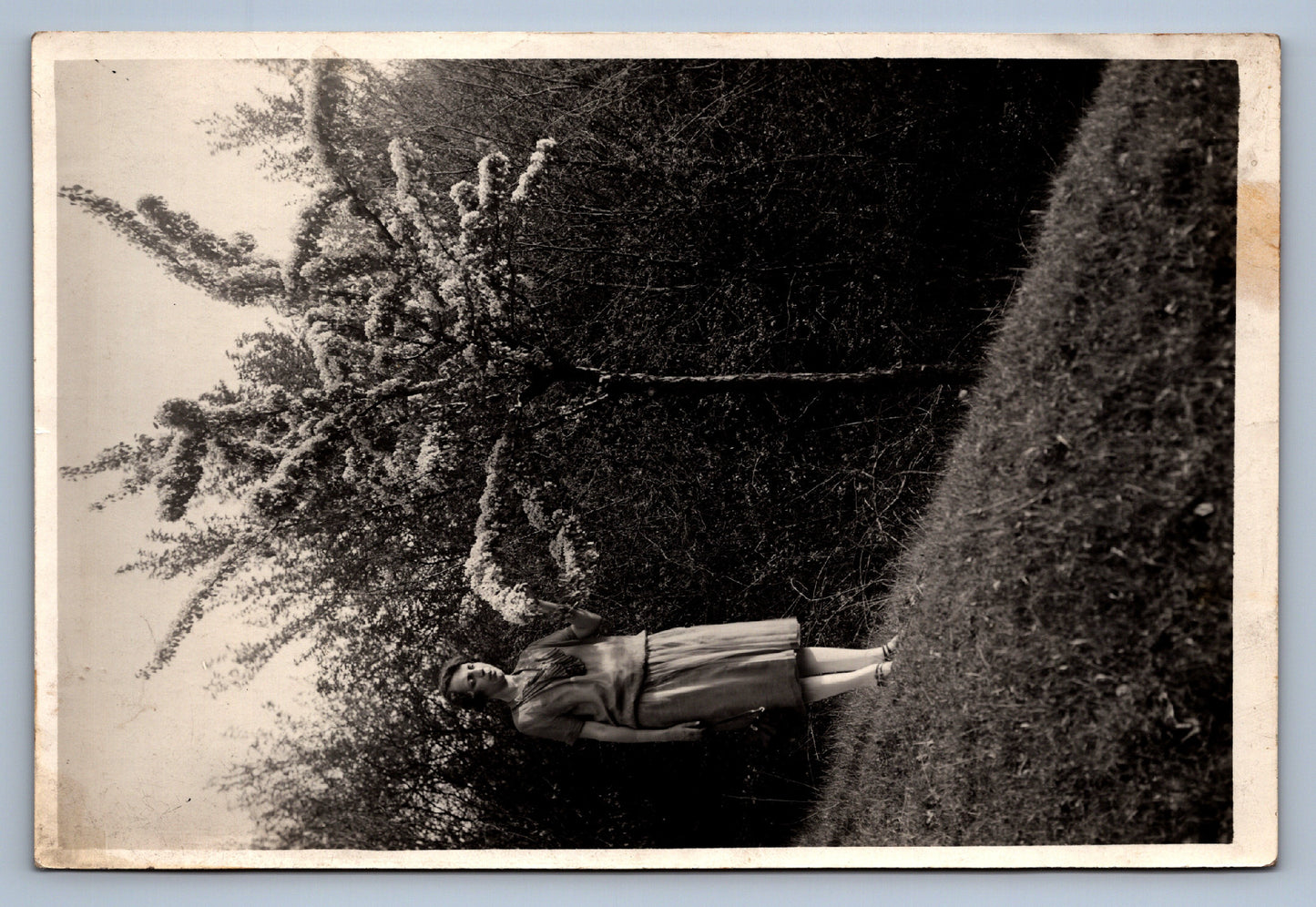 Fotografie NA PROCHÁZCE (x18730)