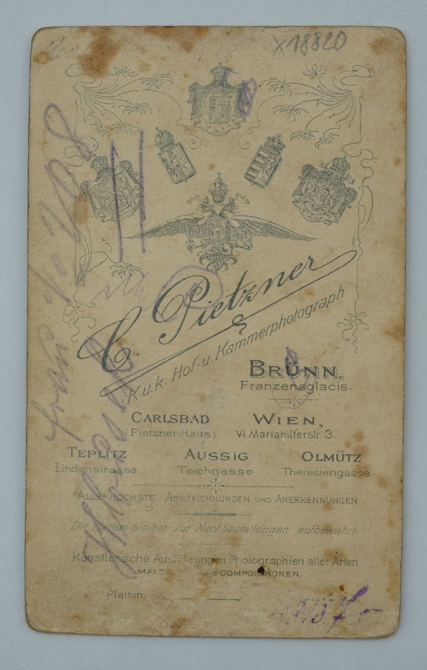 Fotografie ŽENA V ŠATECH L. PIETZNER (x18820)