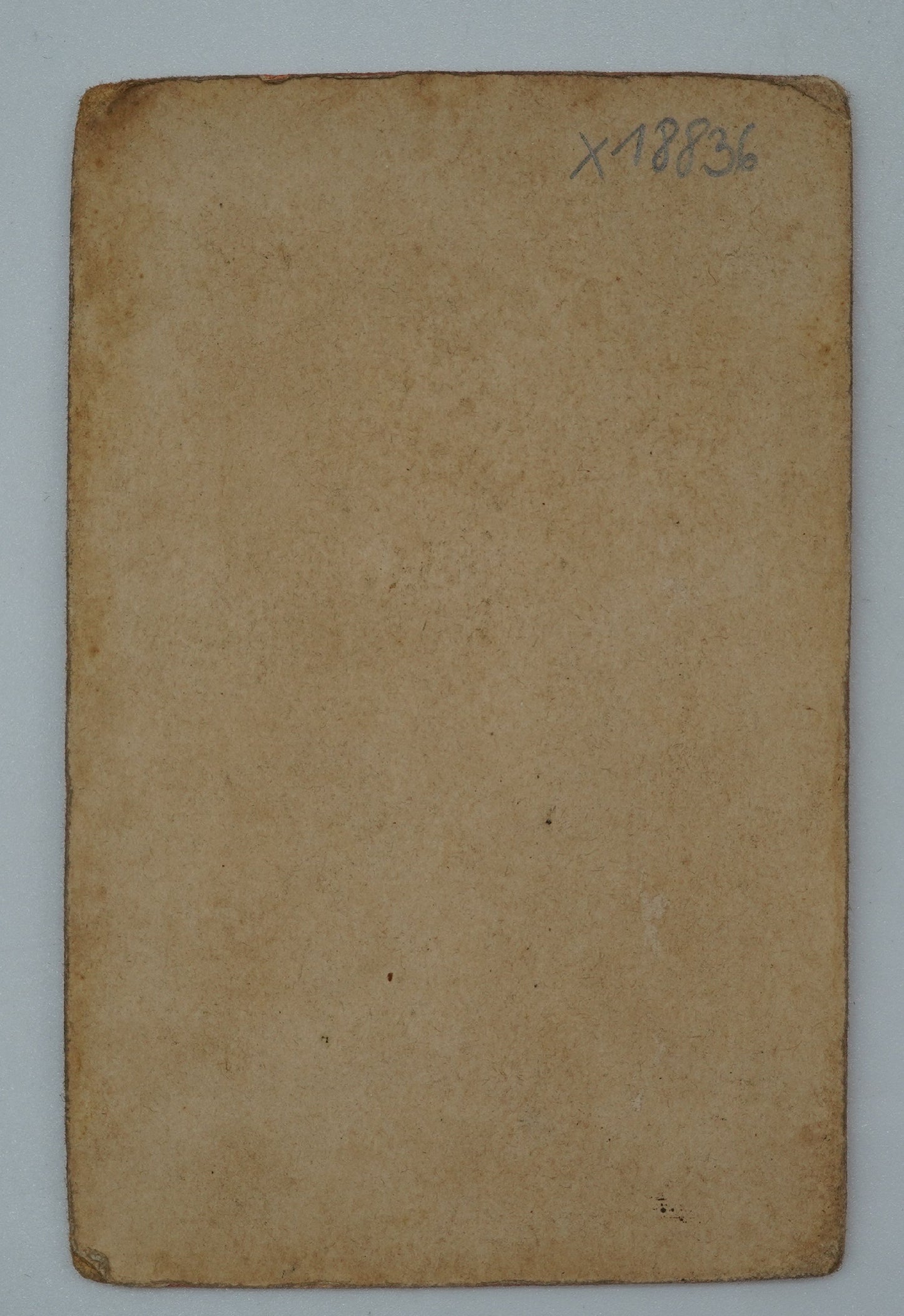 Fotografie MATKA A DCERA J. PROKOP (x18836)