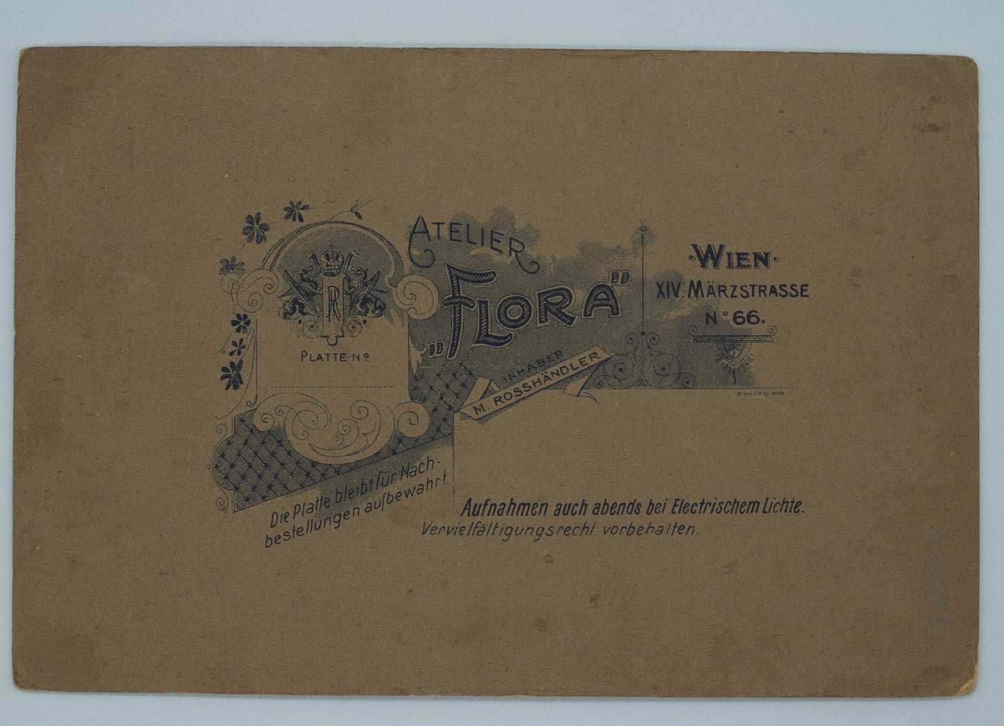 Fotografie SVATBA ATELIER FLORA VÍDEŇ (x18889)