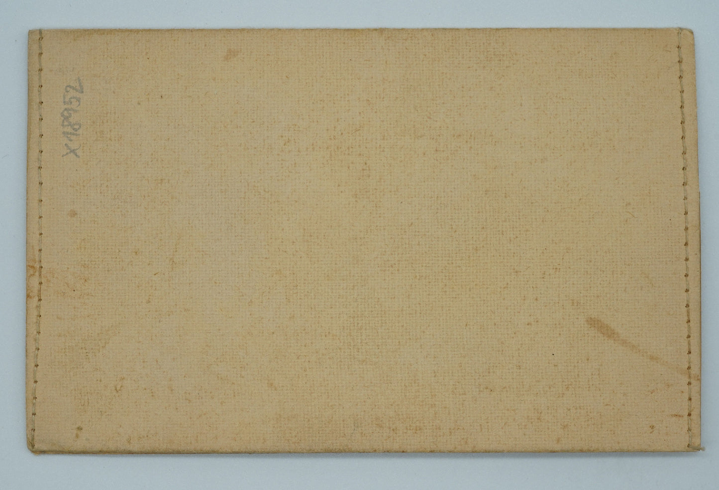 Fotografie MLADÝ CHLAPEC LANGHANI (x18952)